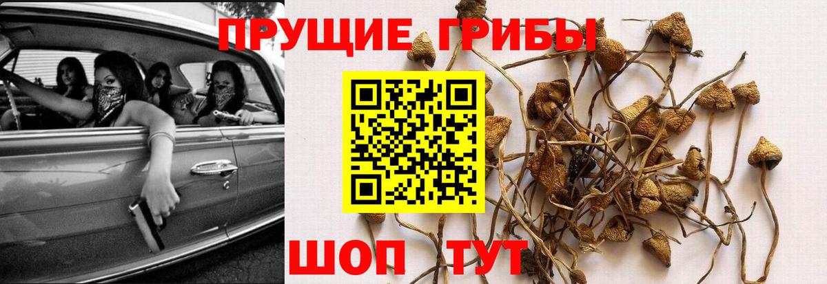 Галлюциногенные грибы ЛСД Острогожск