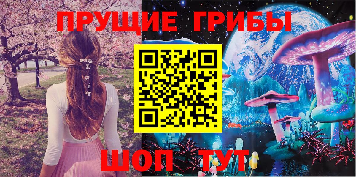 Галлюциногенные грибы мицелий  Вход с VPN  Острогожск 